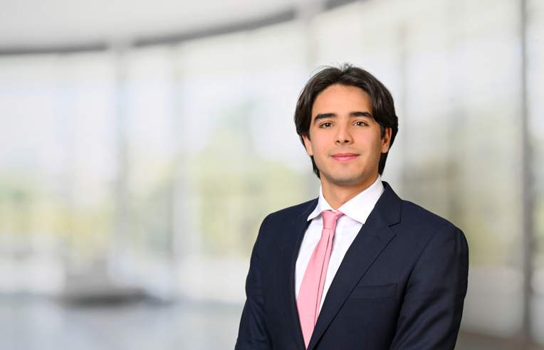 Domenico Ceballos Hübner